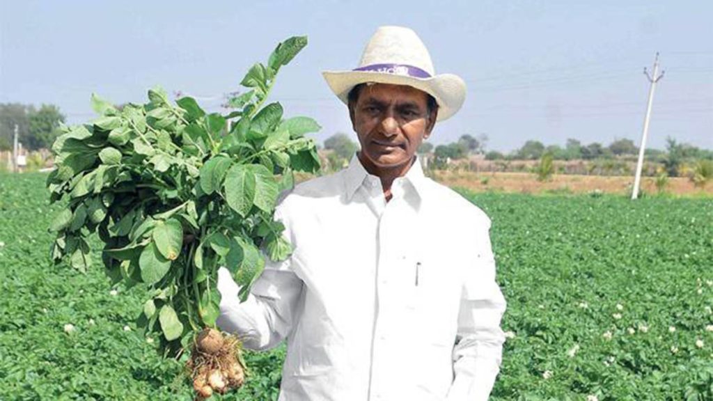 Telangana-Agriculture