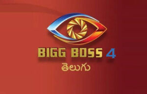 Bigg Boss 4: This time their domination