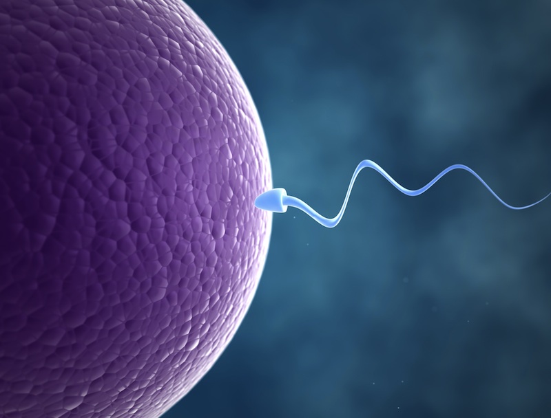 fertility doctor used own sperm to father 49 children