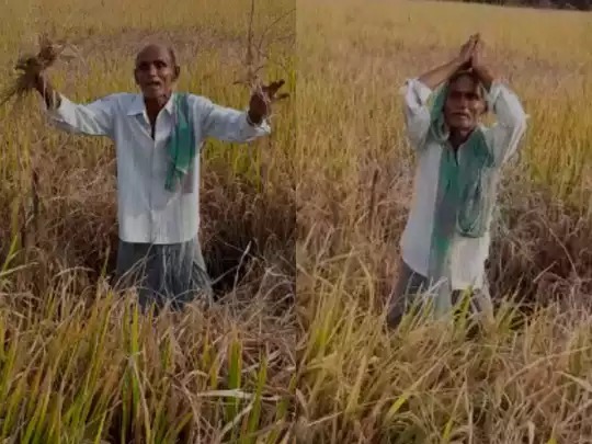 Telangana Farmers