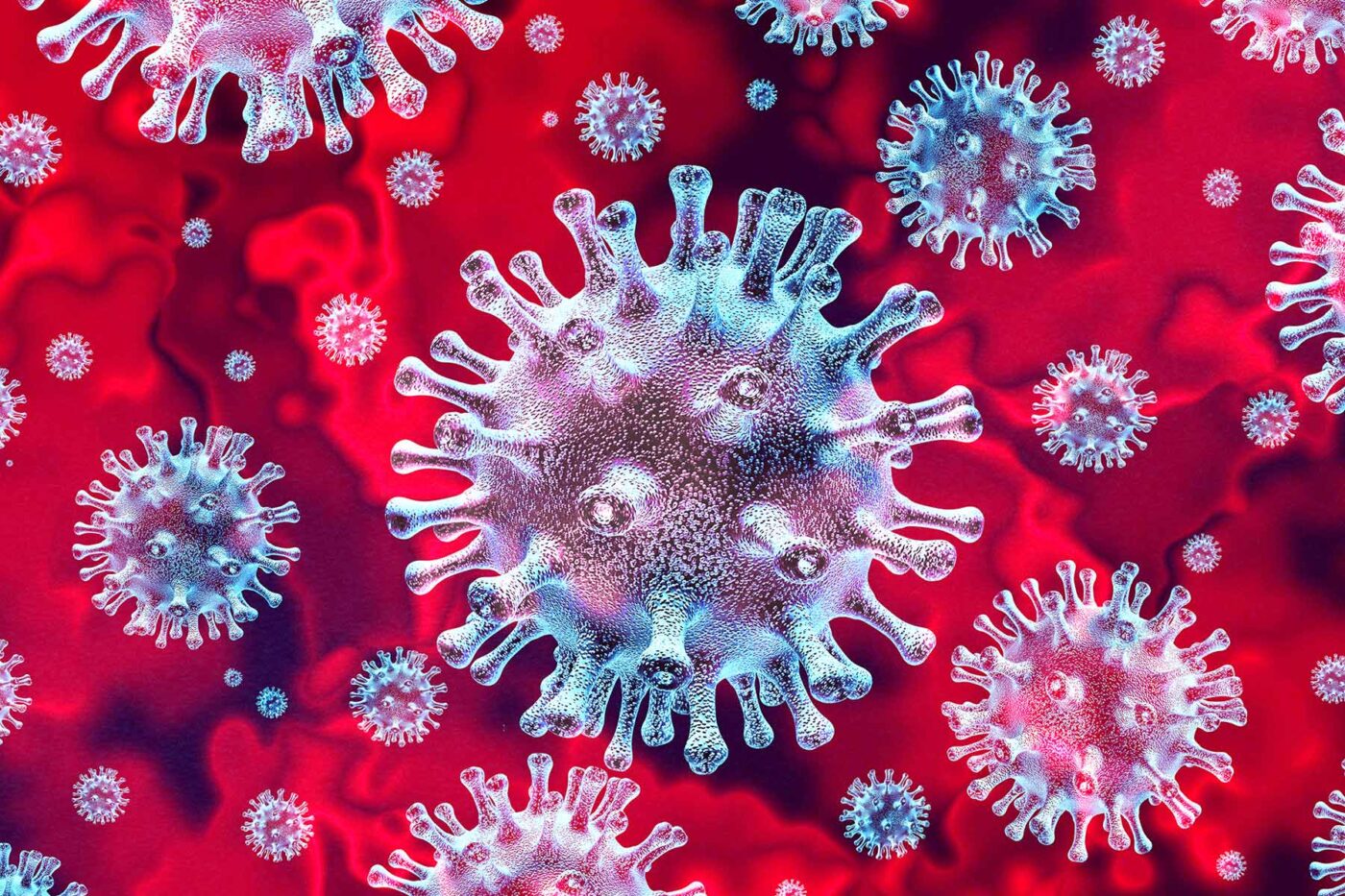 Corona Virus