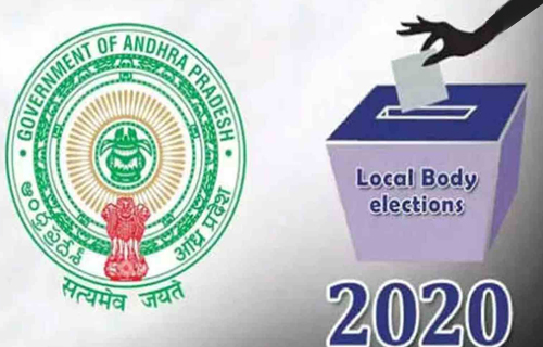 AP Local Elections