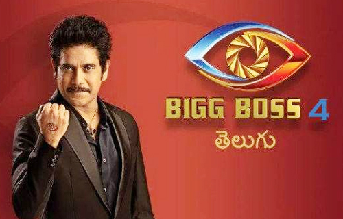 Bigg Boss 4 Telugu winner