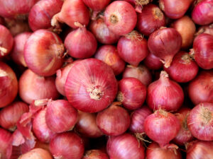 Onion Prices