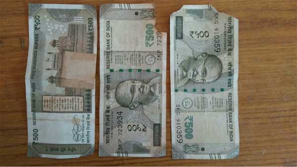 Torn Currency Notes