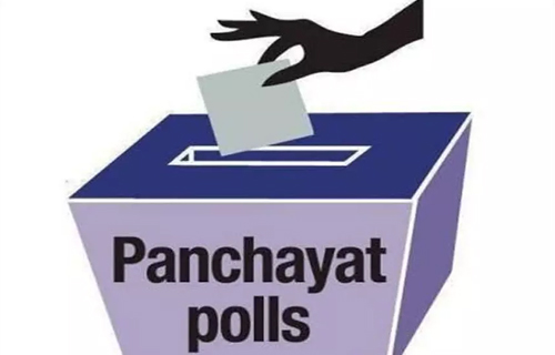 AP panchayat elections