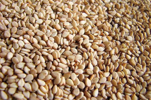 Sesame Seeds