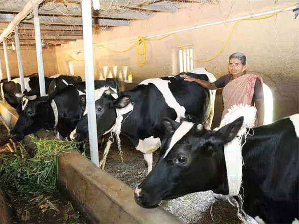  AHIDF loan Scheme: Loans To Farmers Associated With Dairy Farming 