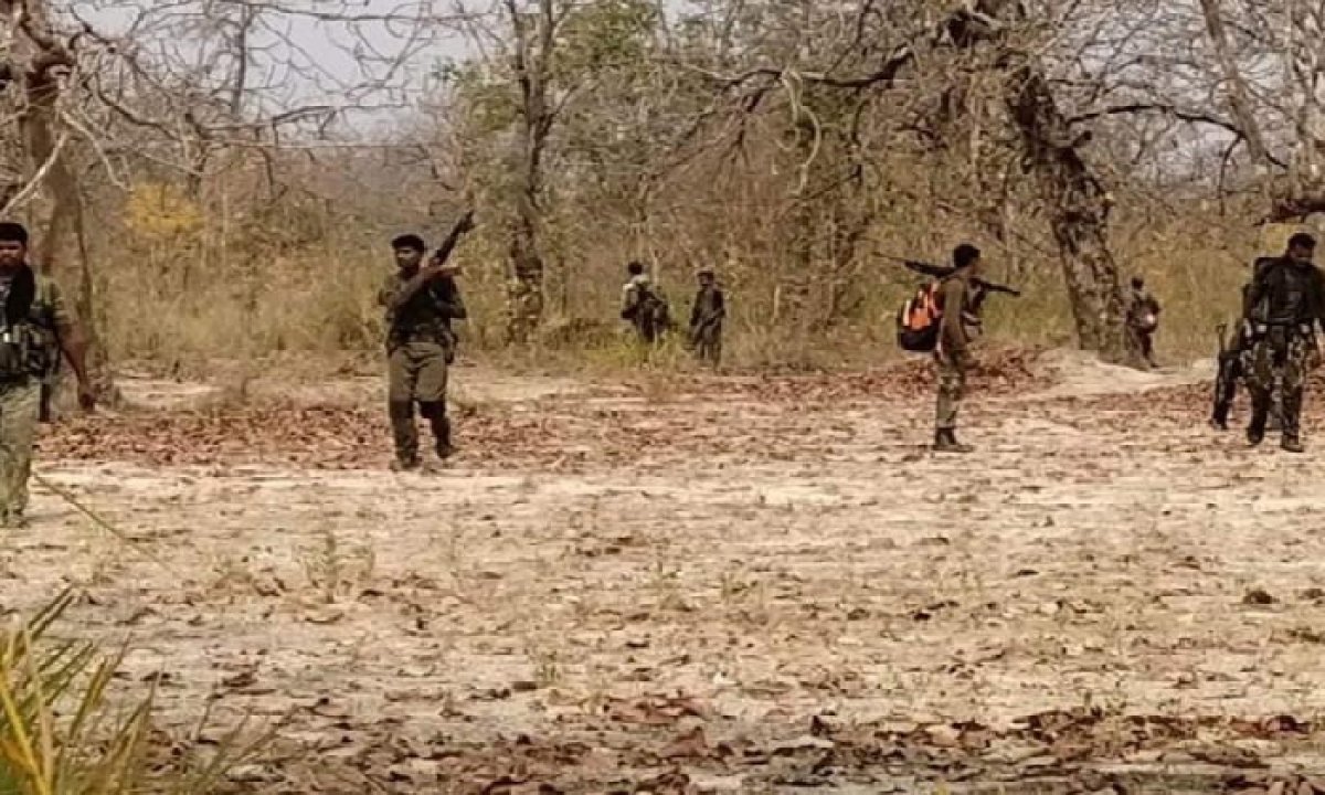 26-Maoists-killed-in-police-encounter-in-Maharashtras-Gadchiroli-