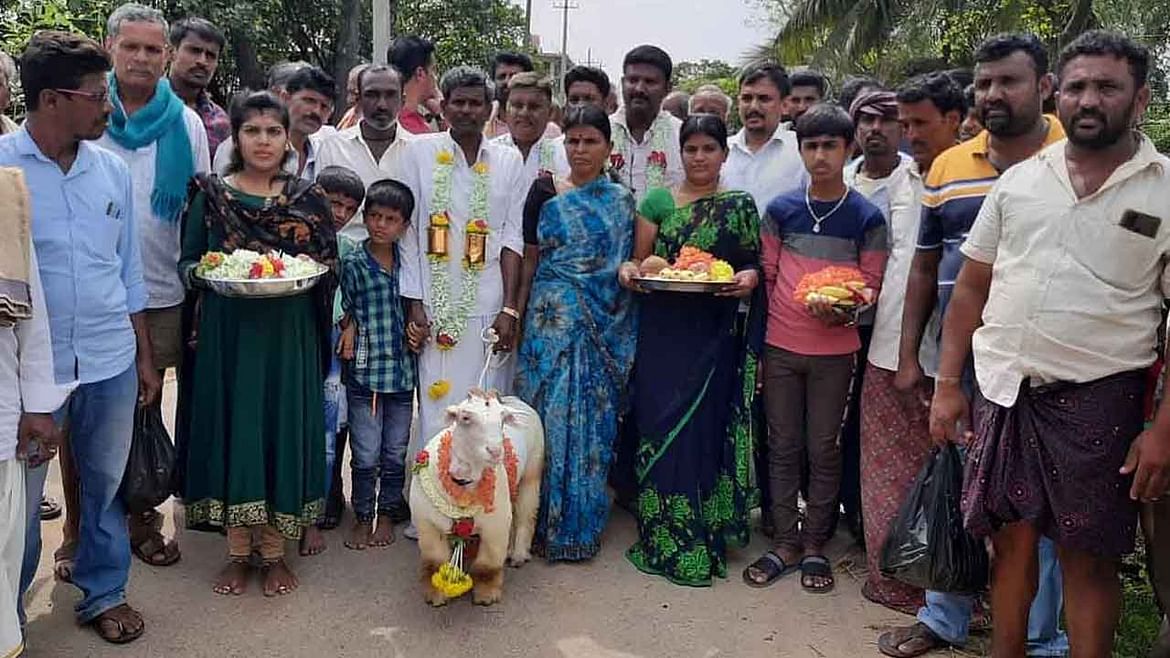 Goat sold rs 2 lakhs