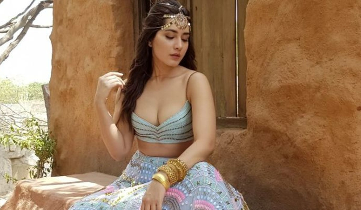 actress rashi khanna got a chance to act in bollywood movie