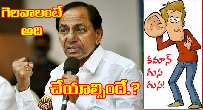 KCR Politics