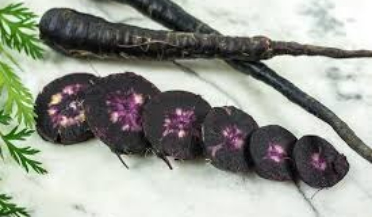 Black Carrot Uses