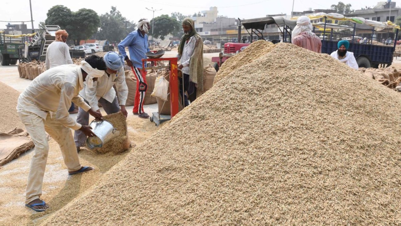 Paddy Grain procurement