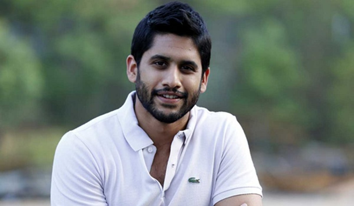 Naga chaitanya interesting comments about roles in movies