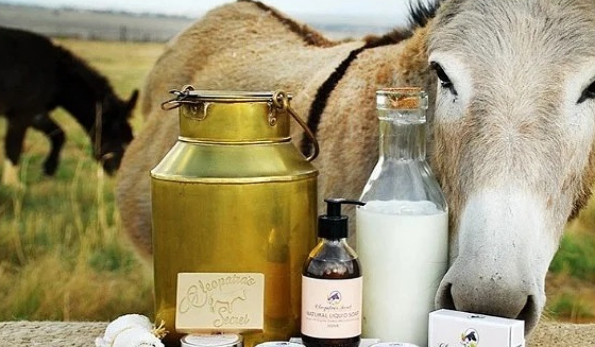 Donkey Milk