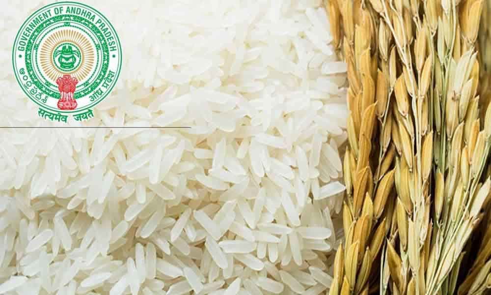 AP Ration Rice