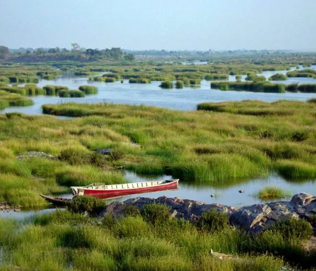 Pranhita River