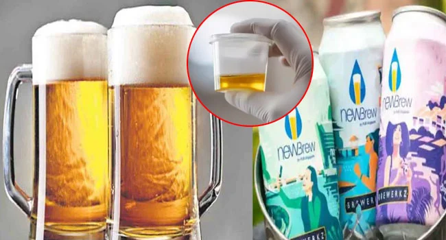 Beer From Urine