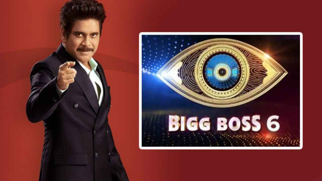 Bigg Boss 6 contestants List