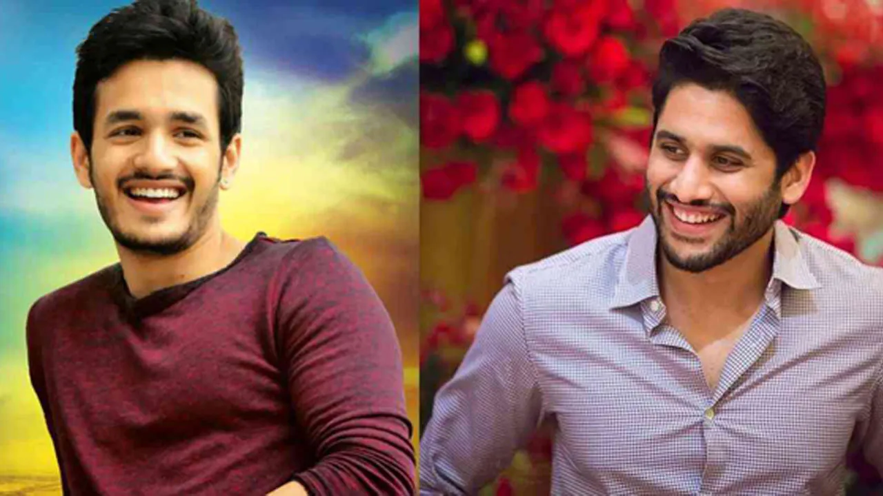 Naga Chaitanya-Akhil Multistarrer