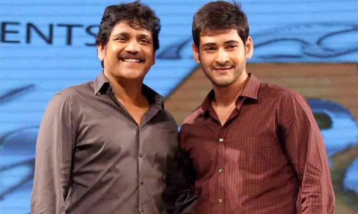 Nagarjuna- Mahesh Babu