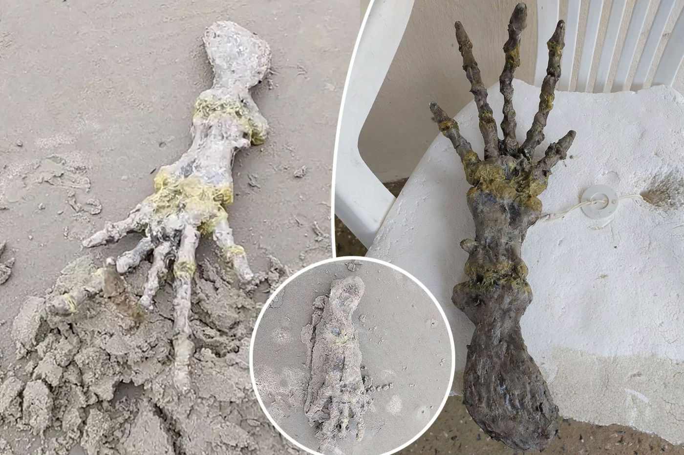 Alien Hand On Beach