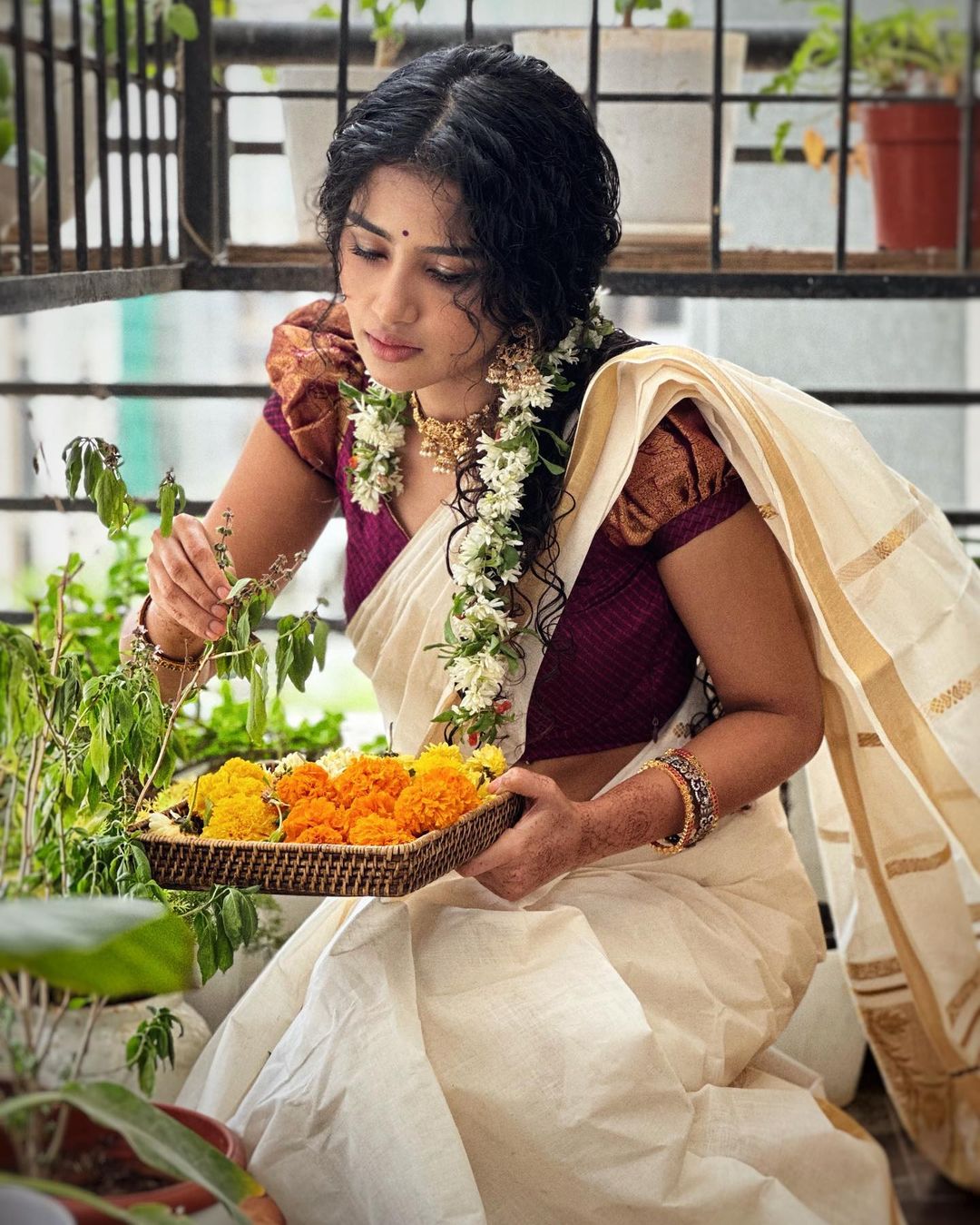 Actress Anupama Parameswaran onam celebration photos goes viral (4)