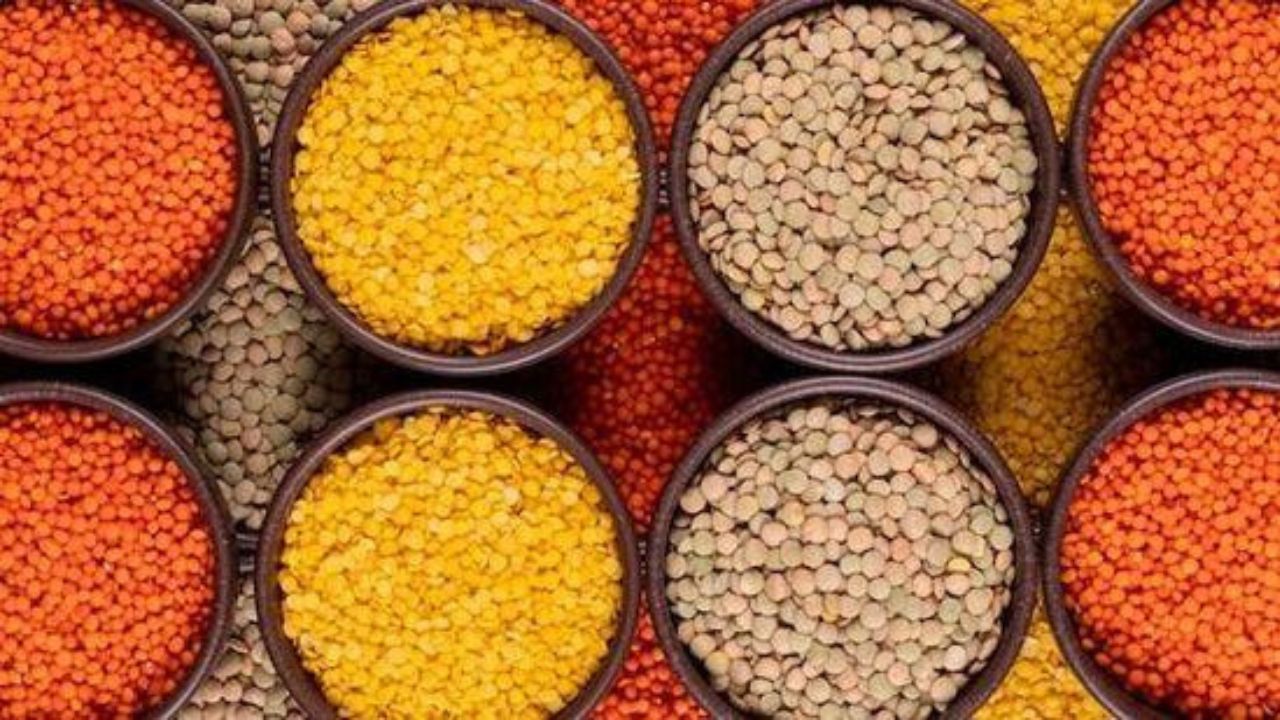 Insects In Pulses