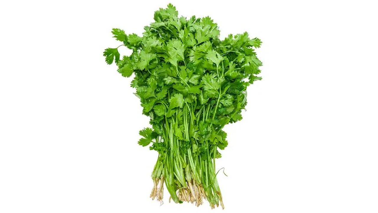 Do this to keep Coriander fresh for a month