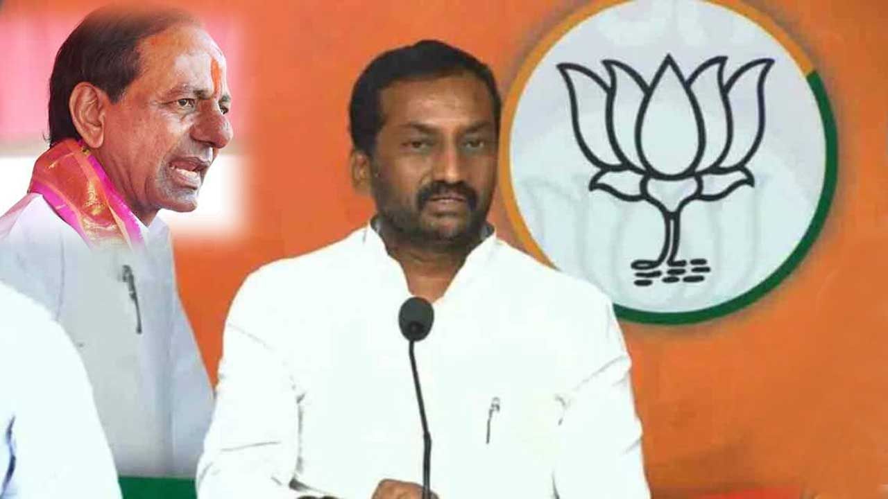 MP Raghunandan Rao