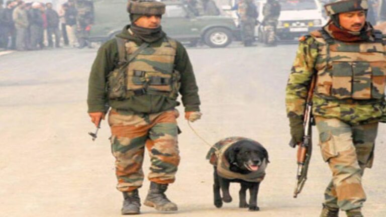 Army Dogs: ఆర్మీలో రిక్రూట్ అయిన కుక్కలు ఈ కాలేజీలో ఎన్ని నెలలు శిక్షణ తీసుకుంటాయో తెలుసా ?