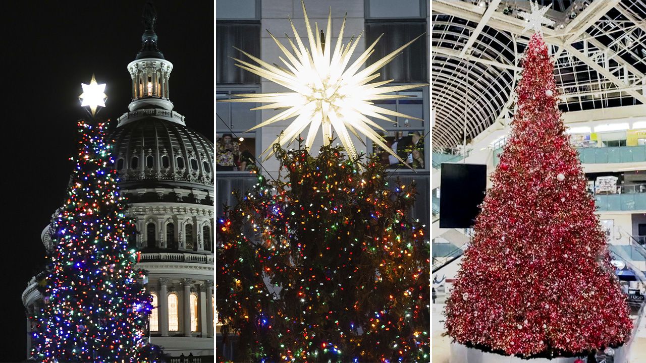Christmas Trees